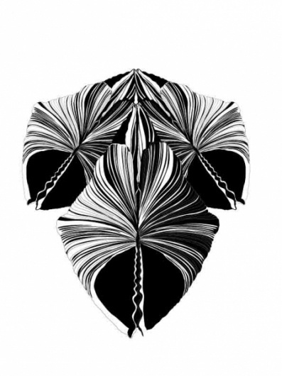 larven : orient #fellerer #design #shell #illustration #marge