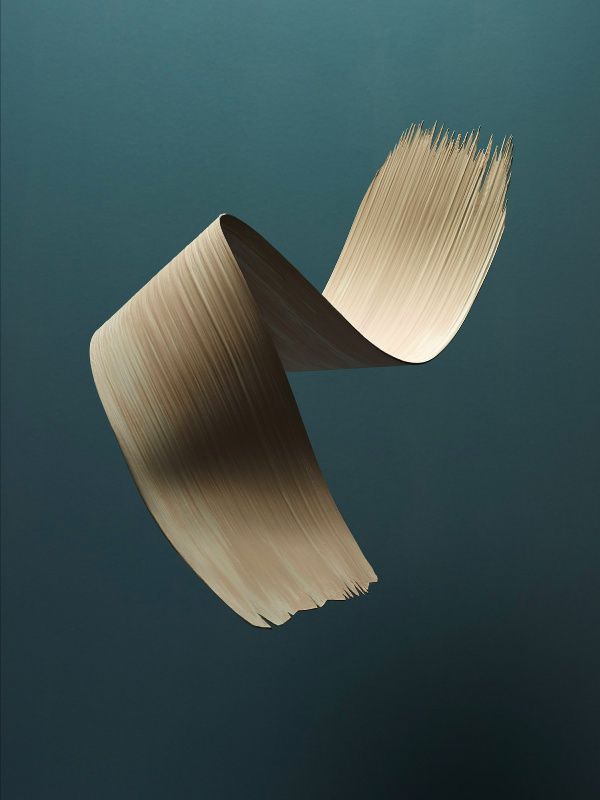 Ryan Hopkinson #Design #Photography #Brush #elegant