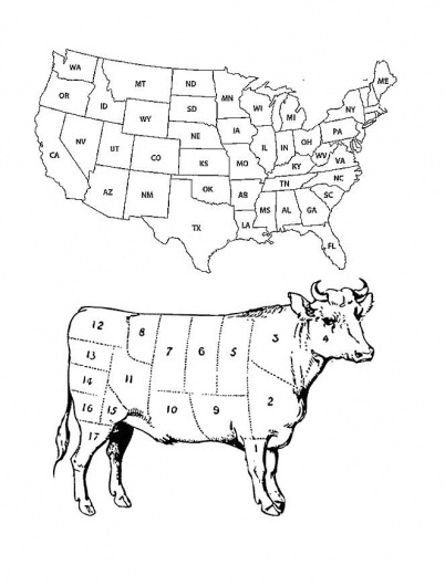 Dan Bina #bina #dan #cow #digital #america #collage