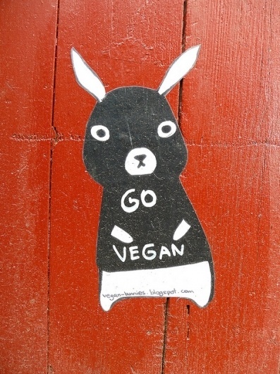 5660184567_db553a01a7_z.jpg (480×640) #bunny #vegan