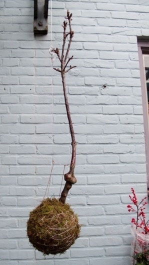 Pure. - Russian Carpet: Daily inspiration, trends, mood board. Architecture, art, design, fashion, photography. #inspiration #white #design #russian #photography #carpet #pure #green