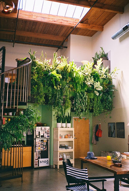 Spaces #spaces #decoration #plant
