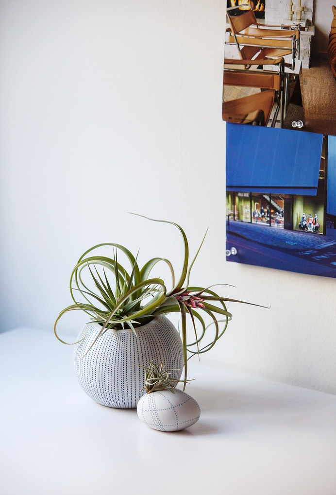 SVK Interior Design