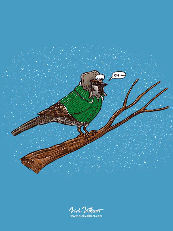 Knowing full well of the cold and windy Illinois weather this sparrow is dressed for the warmth, this but is still totally over the cold.