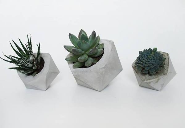 concrete planter #concrete #frauklarer #planter #geometric #minimalist