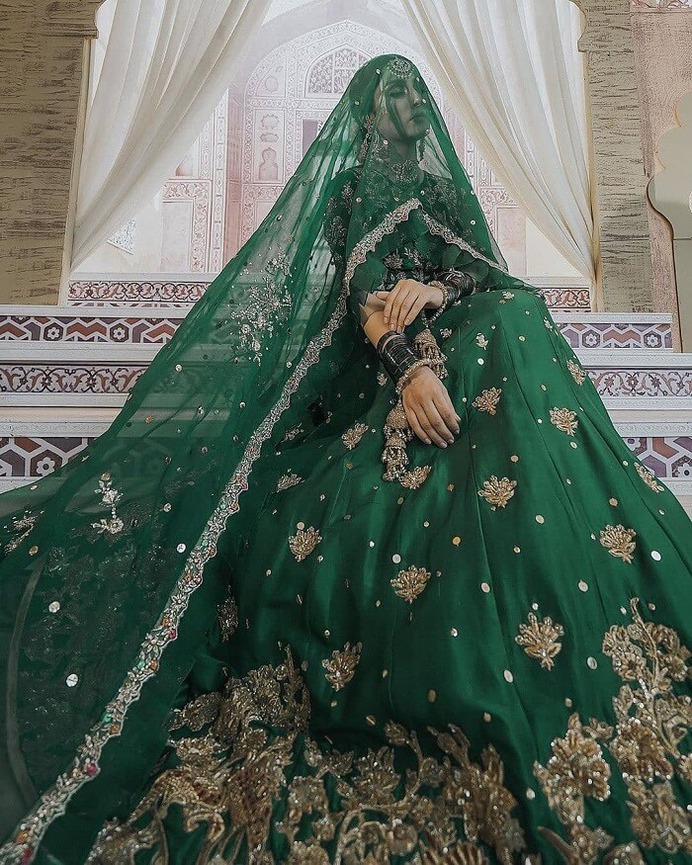 royal-bridal-portrait-with-veil
