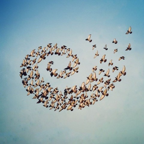Shaun Kardinal | PICDIT #photo #photography #blue #collage