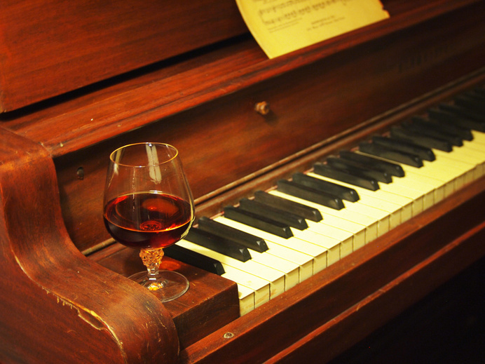 Brandy #photography #beginner #amateur