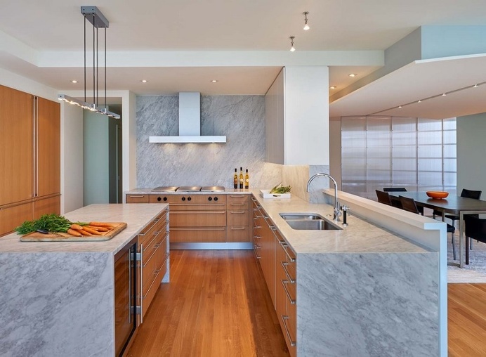 Water Street Flat in Washington / Richard Williams Architects