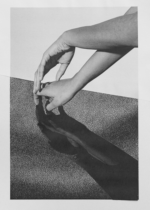 Ramon Haindl | PICDIT #collage #art