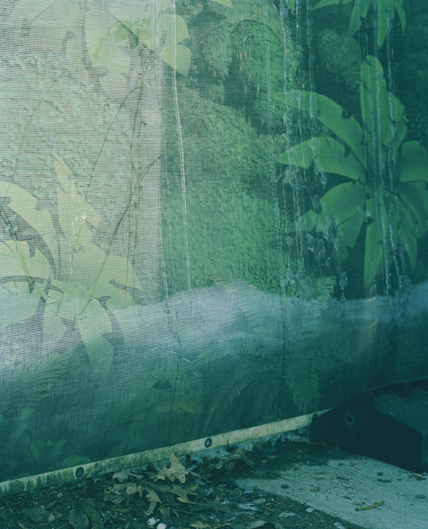 by Samantha Friend #friend #photography #samantha