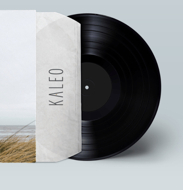 music poster, album art, fan art, music, vinyl, record design, graphic design, album, music art, poster design,