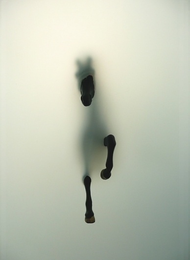 Saatchi Online #horse