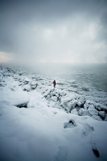 Into The Wild : Michelle McCarron