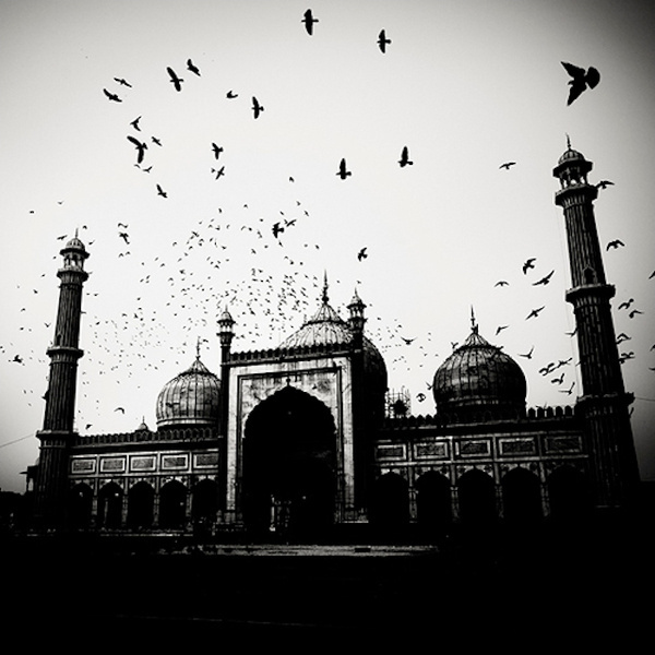 India 2 bis #white #india #& #black #photography