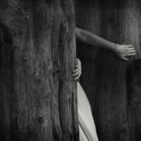 Dara Scully | PICDIT #photo #photography
