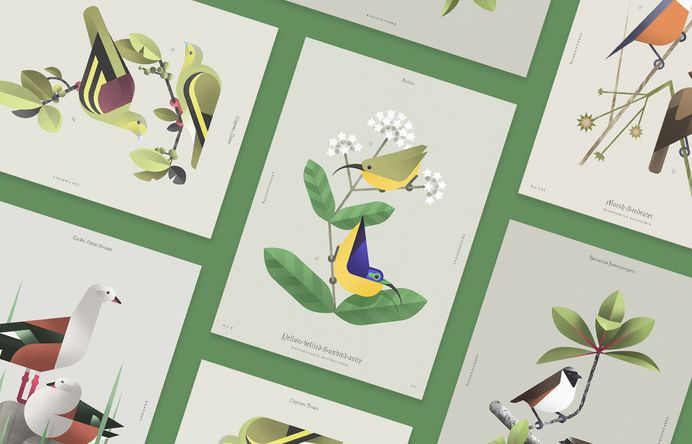 Beauty of birds on Behance