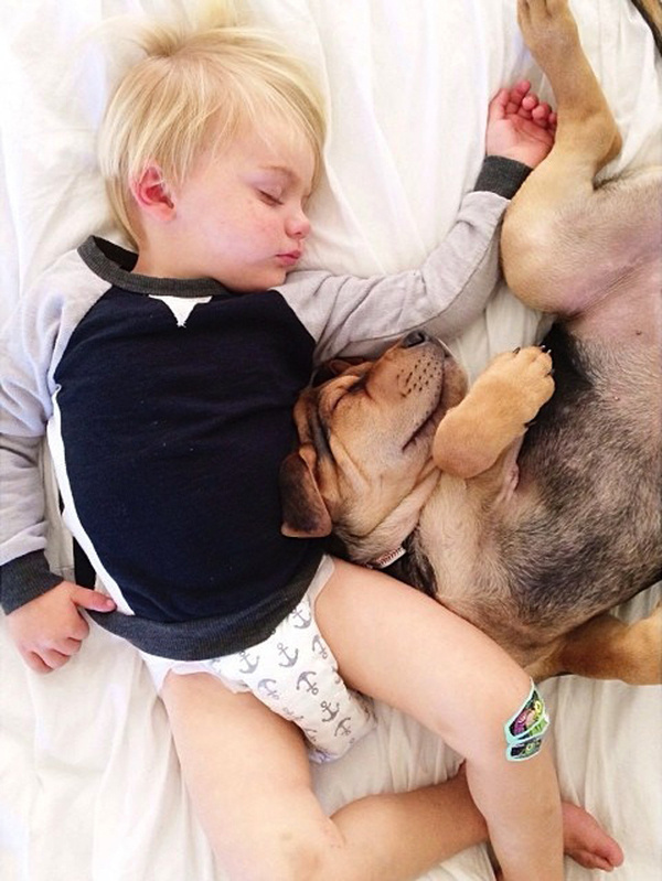 A Naptime Story with Dog and Baby 9