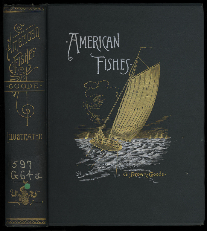 American Fishes: A Popular Treatise upon the Game and Food Fishes of North America | Flickr - Photo Sharing! #spine #fishes #american #design #book #painted #cover #illustration