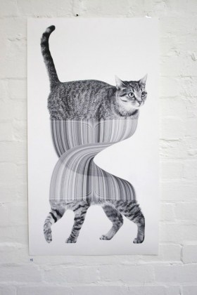 Art « Jonathan Zawada #kitties #cool