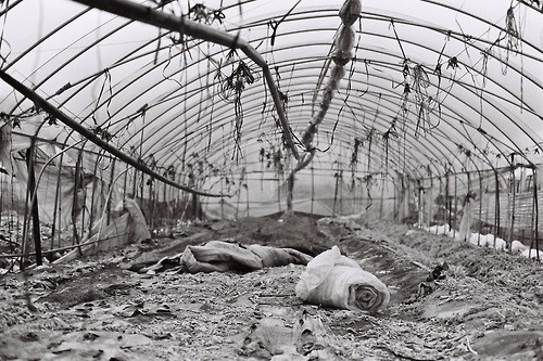 From the series Dead Land - #3