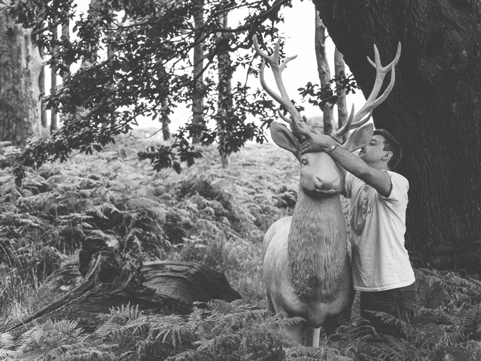Stag in the Woods #art #blackandwhite #animal #installation #bluestag