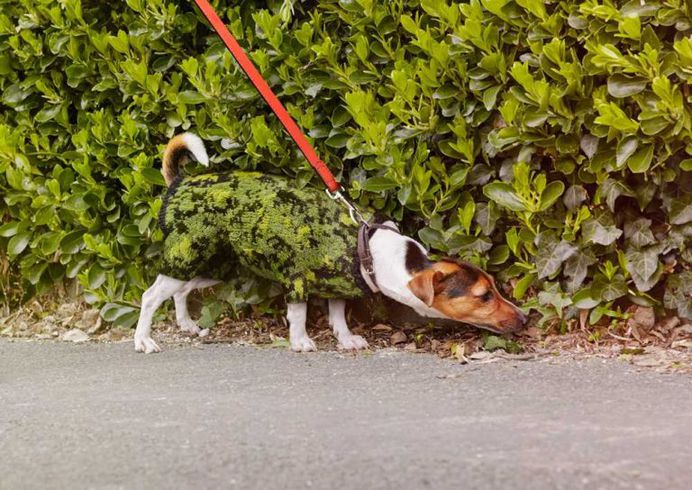 Knitted Camouflage: Creative Photography by Joseph Ford