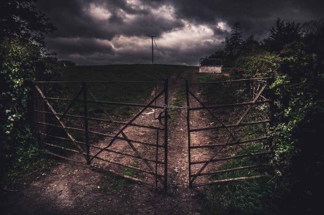 Photography by Freddie Ardley #inspiration #photography #art #fine