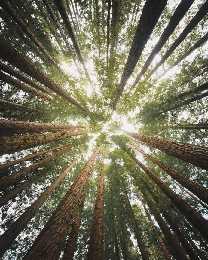 Wonderful Outdoor and Landscape Photography by Luke Stackpoole