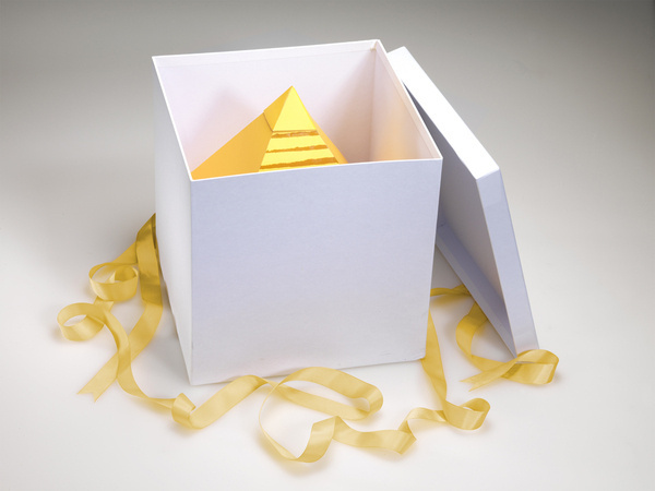 Camel Presentation Kits for new pack design etc on Behance #pack