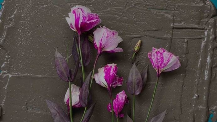 BLDG5 Records - Home #photography #swag #flowers