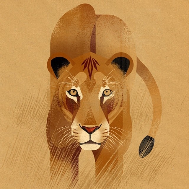 Animal Illustration by Dieter Braun #wildlife #animals #drawing #lion #lionkillingdentist #biggamehunting #nobiggamehunting