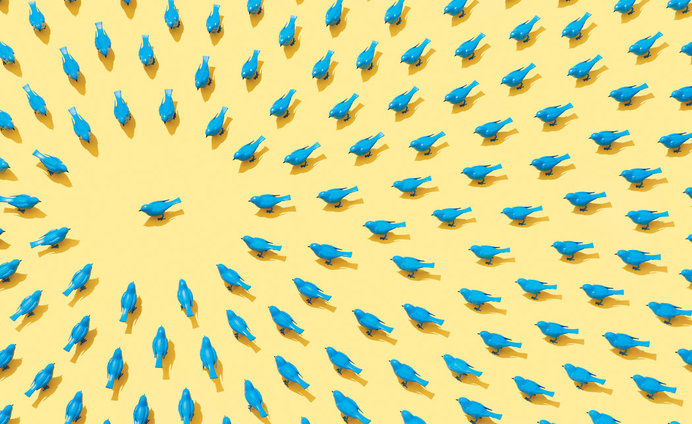 How One Stupid Tweet Blew Up Justine Sacco's Life - NYTimes.com #birds