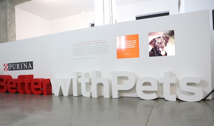 Portfolio – Type A Events