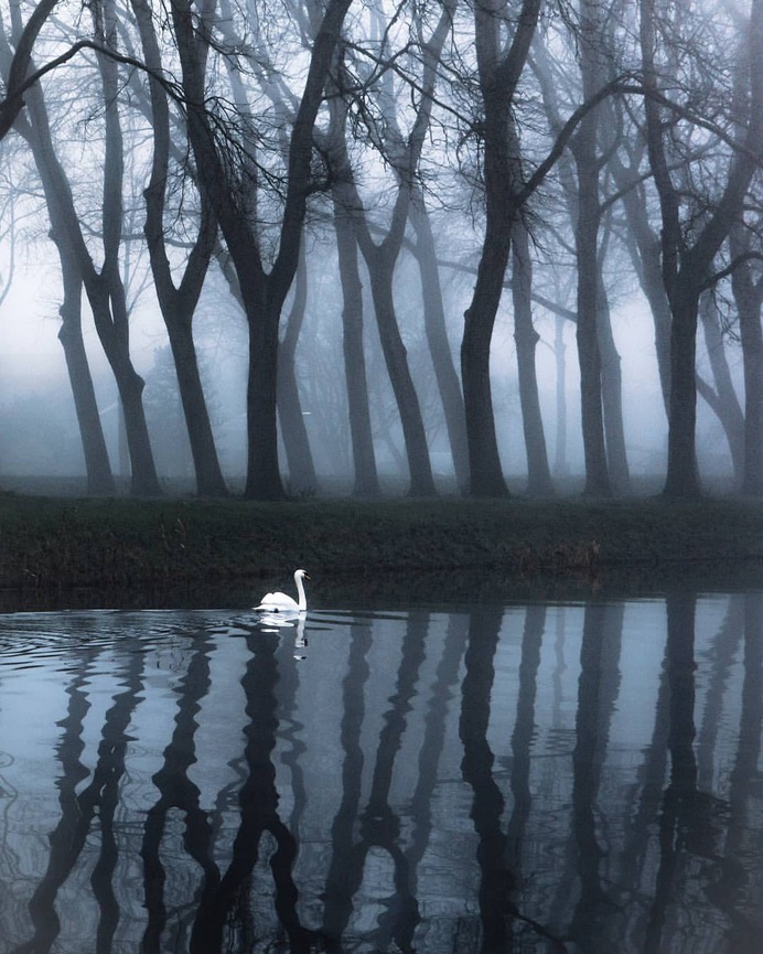 Beautiful and Extraordinary Outdoor Photography by Karen Heslinga