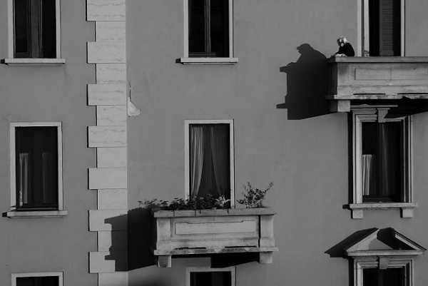 Milan #facade #architecture