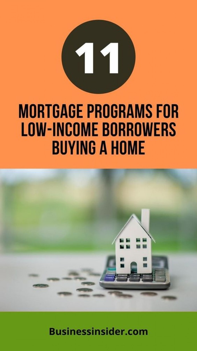 Eleven Mortgage Programs For Low Income Borrowers Infographic