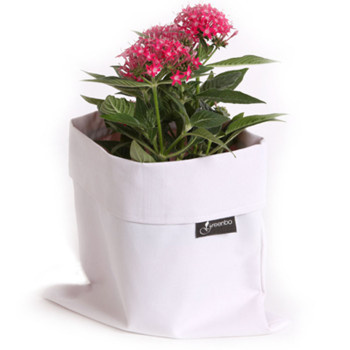 Bring your plants indoors with the Fiorina Indoor Planter Case, which allows extra water to drain into a sealed case. #plants #design #planter #product #indoor #industrial #case