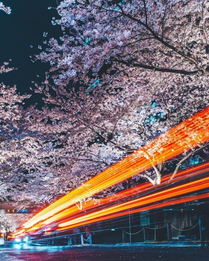 Stunning Instagrams of Tokyo by Shohki Eno