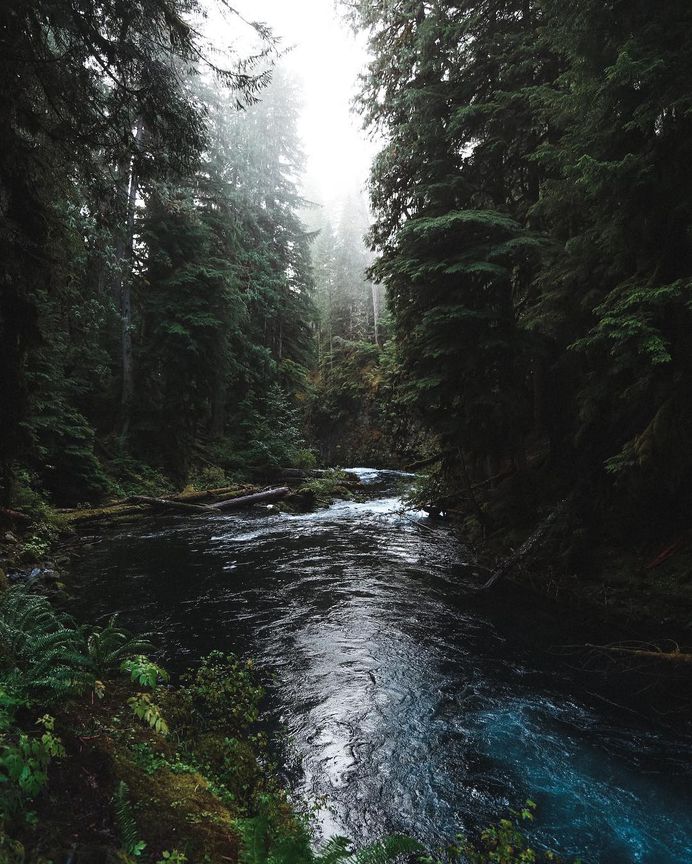 McKenzie river