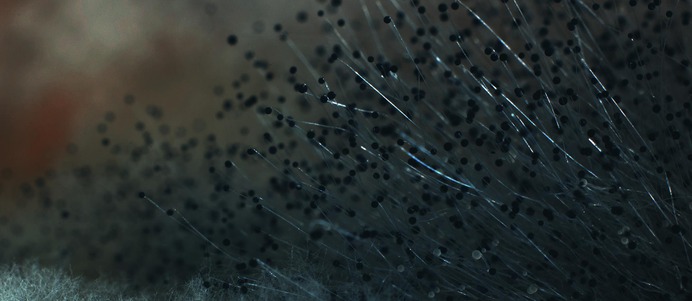O2 Mold Testing | Independent Mold Testing Company