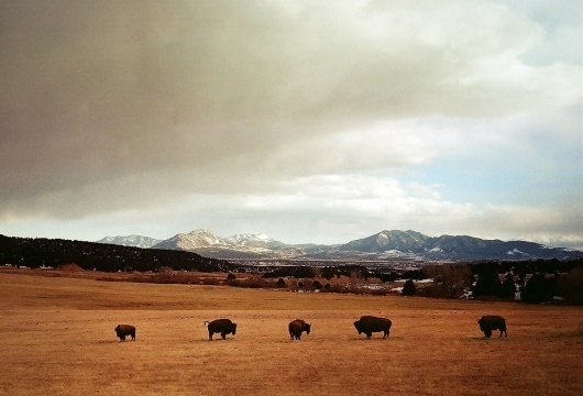 keithdavisyoung.com #photography