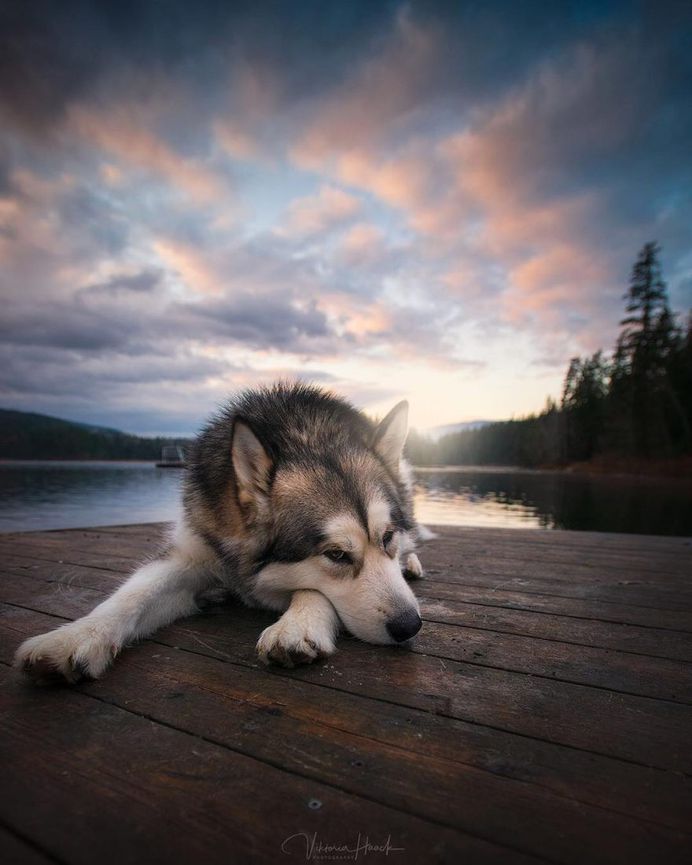 Stunning Landscape and Adventure Photography by Viktoria Haack