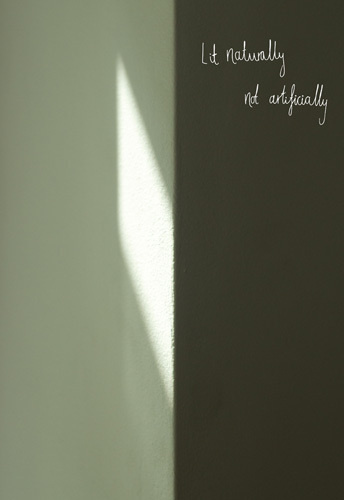 Lit Naturally Art Print by Naomi Wood Easyart.com