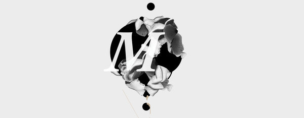 Hackney Mushroom – Personal Exhibition #blup #tudio