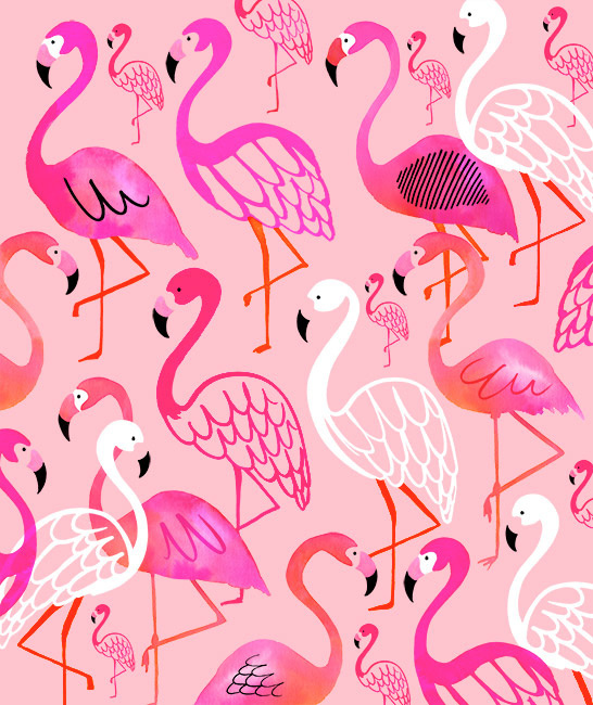 Magrikie : Illustration : tropical / jungle