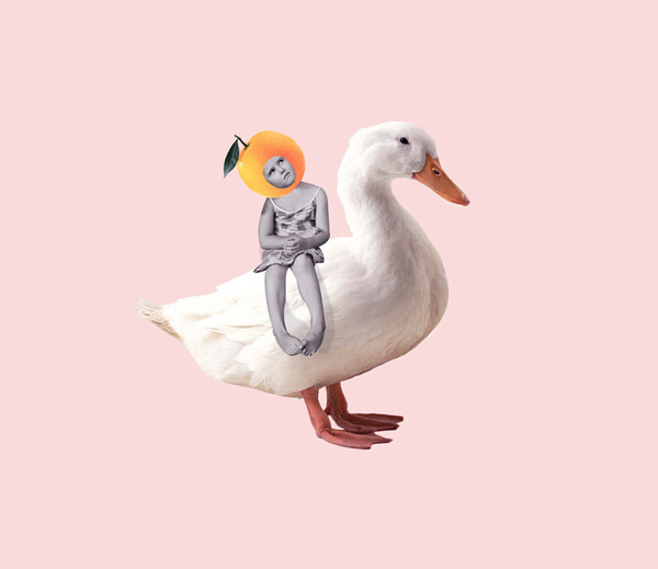 The Rabbit Ears by Dilok Lak #creative #design #graphic #photography #animals #rabbit
