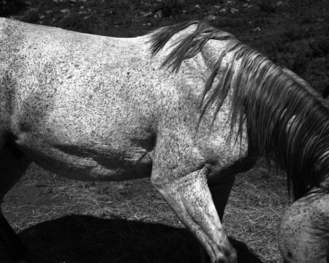 Whitney Hubbs | PICDIT #photo #photography #white #black