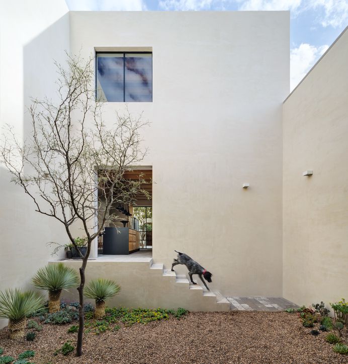 Walled graveled garden. Casa La Quinta by PPAA. © Rafael Gamo. #garden