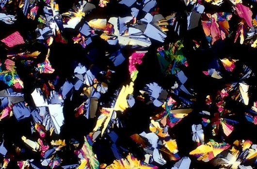 sanödox: Have you Ever Wondered How Alcoholic Drinks Look Like Under The Microscope? #microscopic #gin #photography #1000x